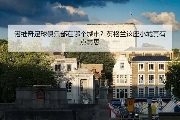 诺维奇足球俱乐部在哪个城市？英格兰这座小城真有点意思 - leyu