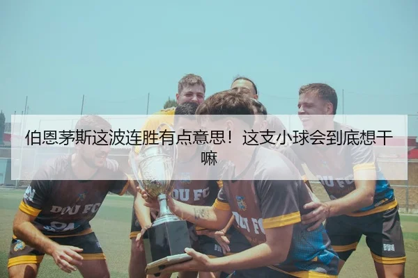 伯恩茅斯这波连胜有点意思！这支小球会到底想干嘛 - leyu
