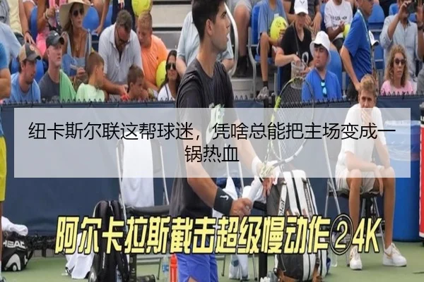 纽卡斯尔联这帮球迷，凭啥总能把主场变成一锅热血（leyu）