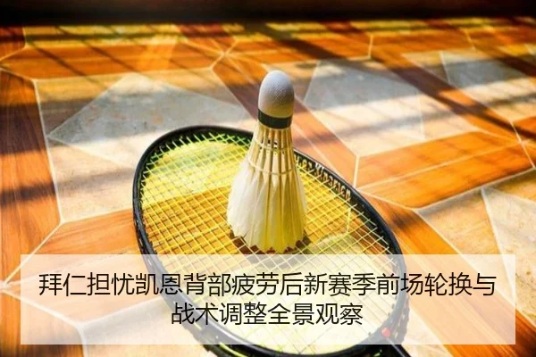 拜仁担忧凯恩背部疲劳后新赛季前场轮换与战术调整全景观察（leyu）